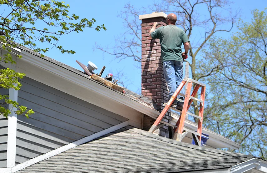 Chimney & Fireplace Inspections Services in Rogers, AR